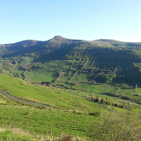 Le Falgoux Auberge Du Col De Neronne酒店 外观 照片