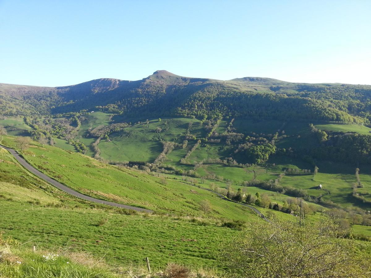 Le Falgoux Auberge Du Col De Neronne酒店 外观 照片